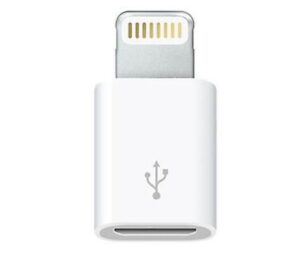 Apple-Stecker auf Micro-USB - Image 2
