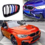 BMW M Color Front Nierengrill - Image 2