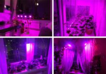 Pflanzen Gemüse Wachsen Lichter 200 Led - Image 9