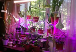 Pflanzen Gemüse Wachsen Lichter 200 Led - Image 10