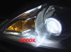 D4S 2X HID Glühbirnen 6000k - Image 2