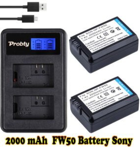 Sony 2 X 2000 Akku + Ladegerät mAh FW50