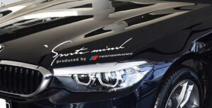 Bmw Performance Scheinwerfer Aufkleber - Image 4