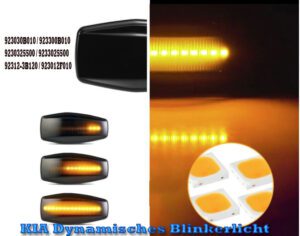 KIA Hyundai Dynamisches Blinkerlicht E-Prüfz.