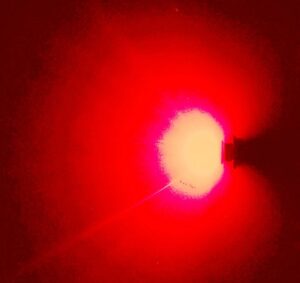 1157 P21 / 5W Bremslichter - Image 6