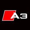 A3