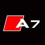 Audi Tür-LED-Logo-Licht - Image 7