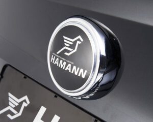 HAMANN BMW 7 PCs Radkappe - Image 11