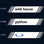 D5S 6000K Xenon-HID-Scheinwerferlampen-Set - Image 12